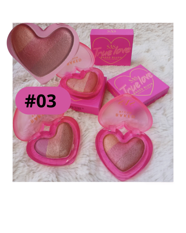 RUBOR COMPACTO USHAS