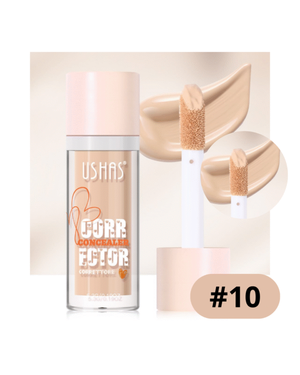 CORRECTOR LIQUIDO USHAS