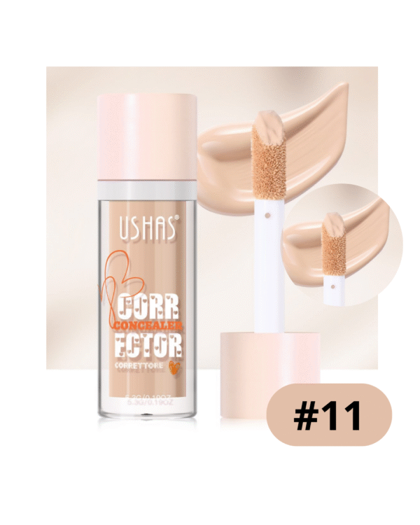 CORRECTOR LIQUIDO USHAS
