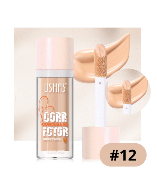 CORRECTOR LIQUIDO USHAS